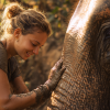 Phuket Tours Online Expat Run Phuket Tour Agency Phuket Tours Online A Young Woman Gently Rubbing Mud On A Rescued Ele C9de21be 49bf 4952 823a Eab7a4dc373a