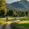 Phuket Tours Online Expat Run Phuket Tour Agency Phuket Tours Online Local Thai Farmer Riding A Vintage Motorbike Thro 8e185ffb 7051 463c 8a09 54b200bd1f22