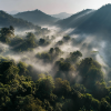 Phuket Tours Online Expat Run Phuket Tour Agency Phuket Tours Online Morning Mist Over The Jungle Canopy In The Hills 269a46f3 7c23 4eeb B976 E5169d04135c