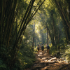 Phuket Tours Online Expat Run Phuket Tour Agency Phuket Tours Online Tourists Hiking Through The Dense Jungle Trail In Eb6d4960 9e5c 4ec4 97f0 32201365a572