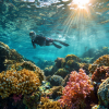 Phuket Tours Online Expat Run Phuket Tour Agency Phuket Tours Online Underwater View Of A Snorkeler Exploring Coral Re C0ef1373 823d 4411 B15d F6112d759e56